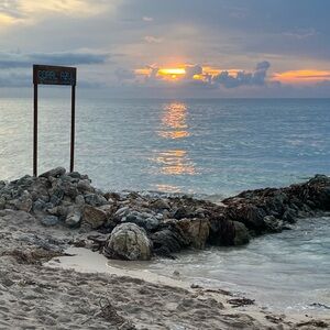 Meet your Posher, Ty